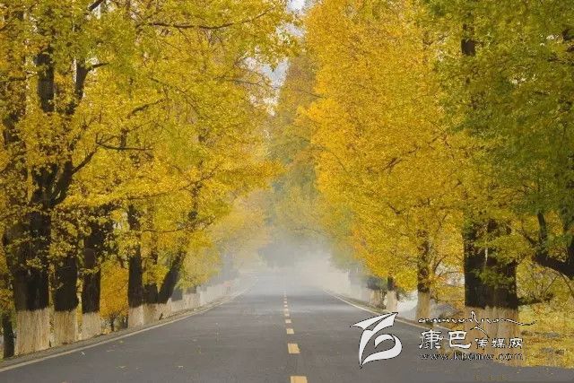 康定新都橋，有一條黃金大道通往夢(mèng)中的天堂