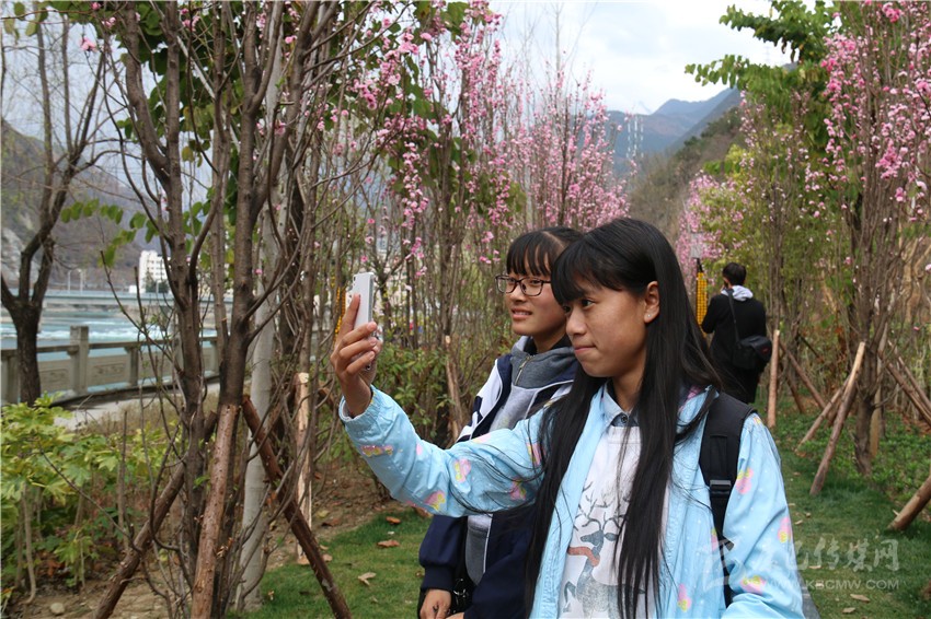 春光俏！“醉”是瀘定春三月，踏青賞花正當(dāng)時(shí)