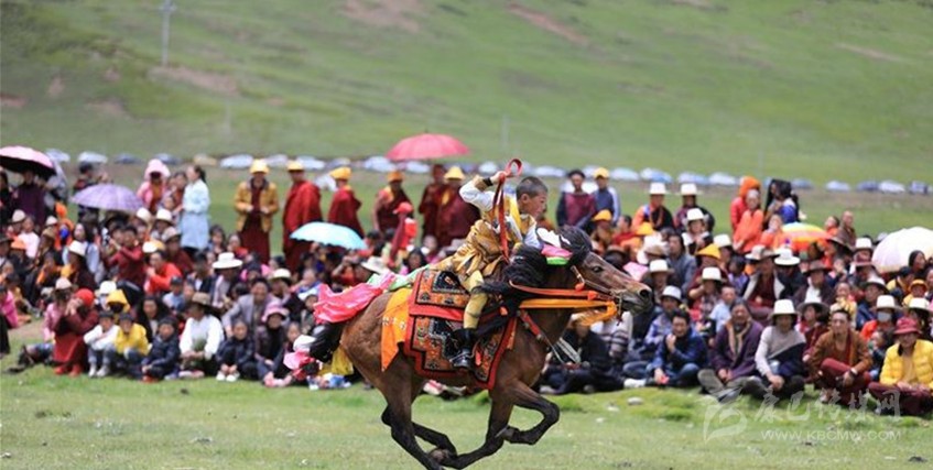 格?；ㄊ㈤_ 牧民馬背上一顯身手