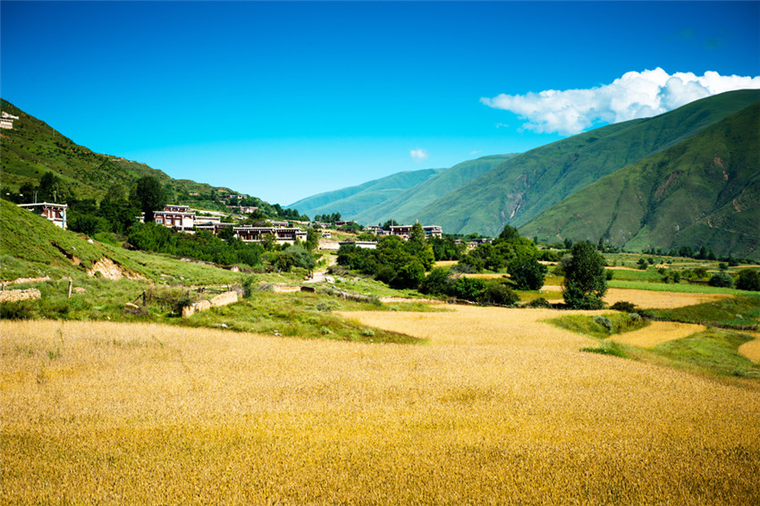 道孚4.jpg 道孚4.jpg