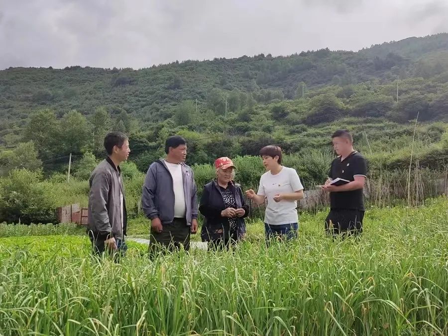 圖為簡(jiǎn)書(shū)梅.jpg 圖為簡(jiǎn)書(shū)梅.jpg